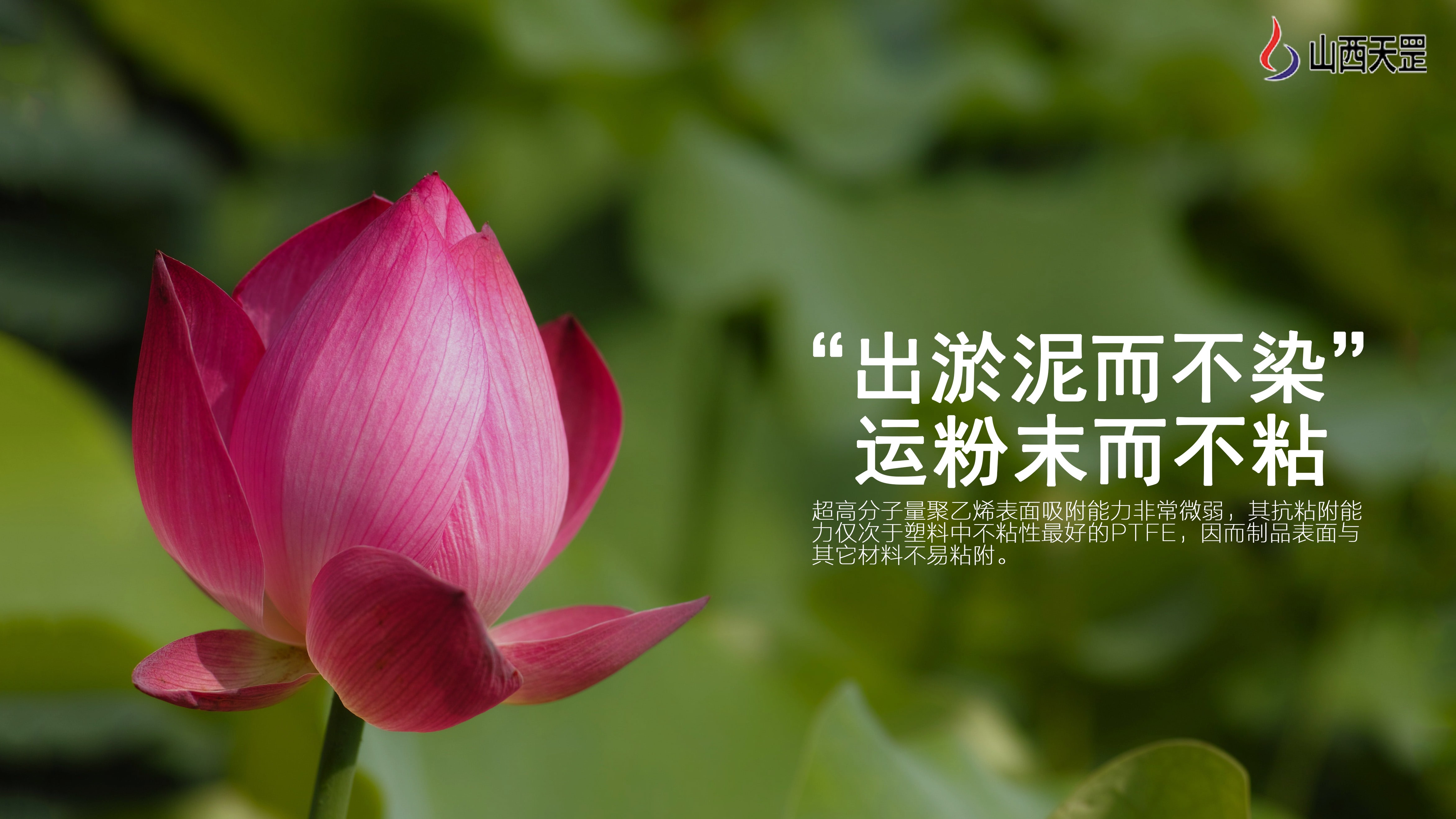 關于超高分子量聚乙烯，你知道多少？（下）